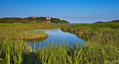 Cape Cod - Herring River Wellfleet