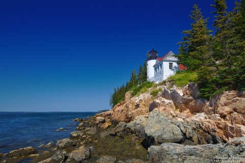 Acadia - Bass Harbor Head Light