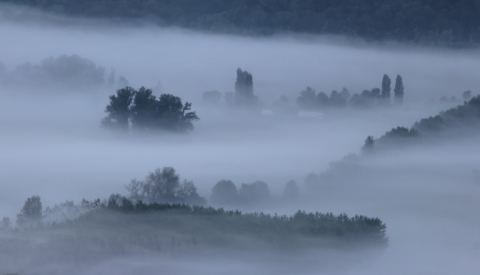 Brume dans la vallée