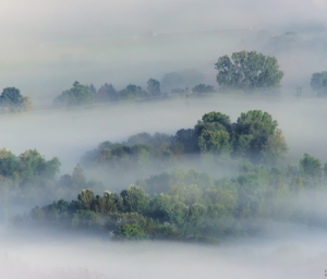 Brume et Nuage