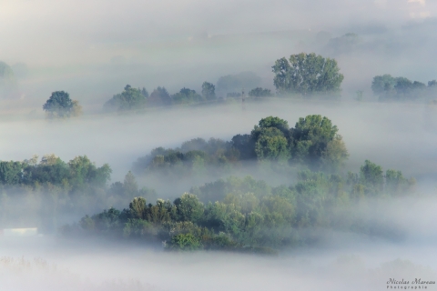 Brume dans la vallée