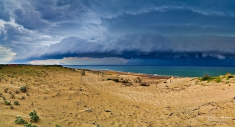 Arcus