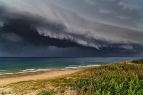 Arcus