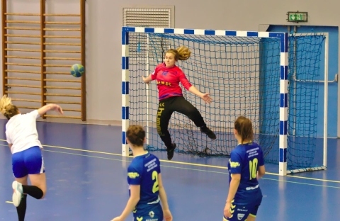 Handball - HBC Crolles Grésivaudan - Isère - gardien de but