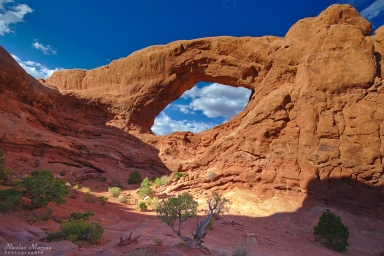 Arches - The Window Section