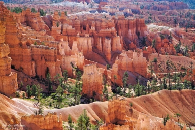 Bryce Canyon - Figure 8 trail