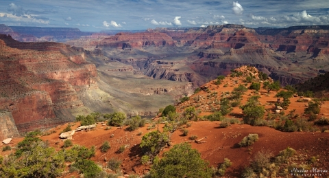Grand Canyon - Cedar Ridge