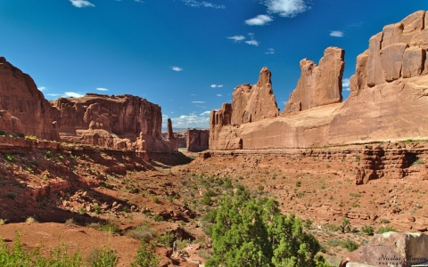 Arches - Park Avenue