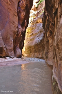 Zion - The Narrows
