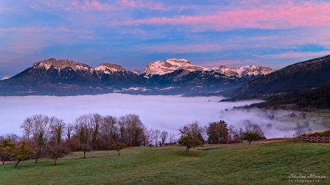 La Tournette au-dessus d'une mer de nuage