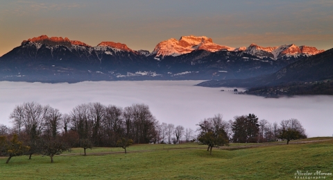 La Tournette au-dessus d'une mer de nuage