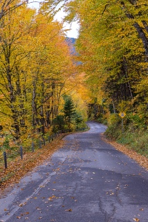 Parc National de la Jacques Cartier