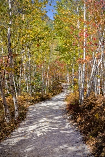 Parc national des Grands-Jardins Randonnée du Mont-du-lac-des-Cygnes -