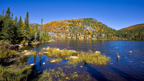 Parc national des Grands Jardins Randonnée du Mont-du-lac-des-Cygnes