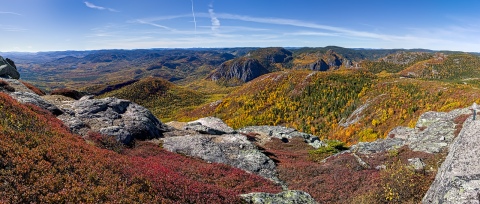Parc national des Grands Jardins Randonnée du Mont-du-lac-des-Cygnes