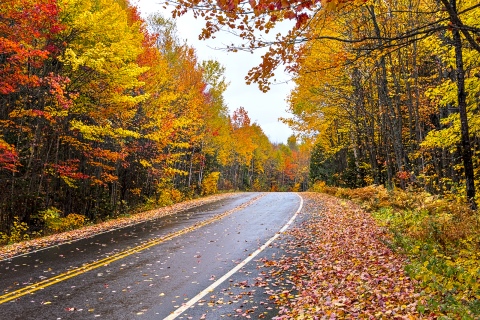 Parc de La Mauricie